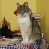 Отзыв от Валерия Иванова
